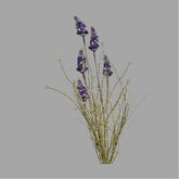 Liláskék színű, mezei levendula művirág.